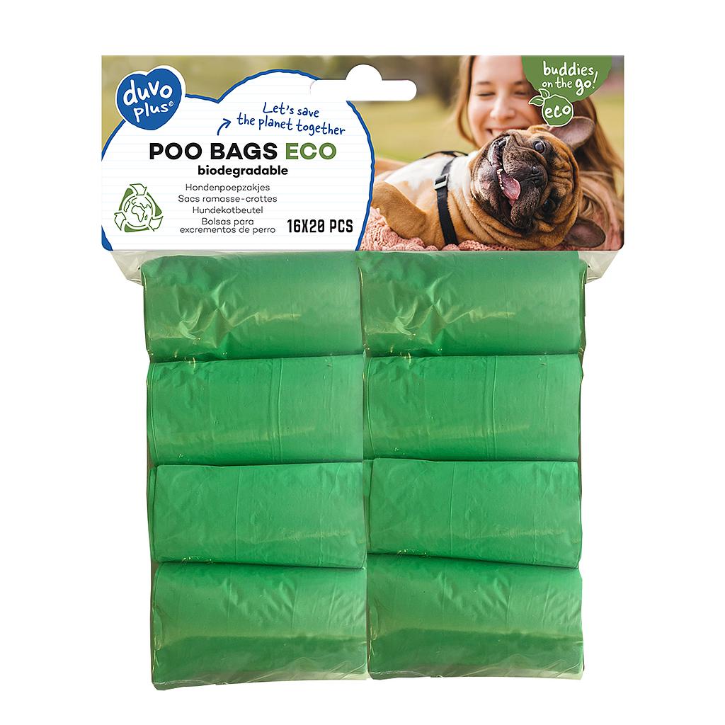 Pack Aura Paseo